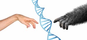 Genetics and Evolution in Premature Ejaculation